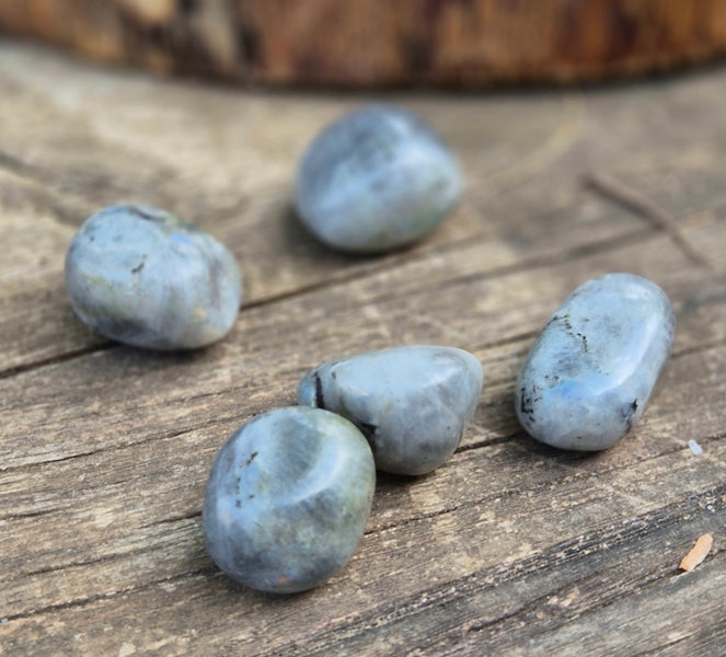 Pierre Roulée Labradorite de Madagascar Qualité A