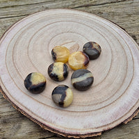 Petit Galet en Septaria