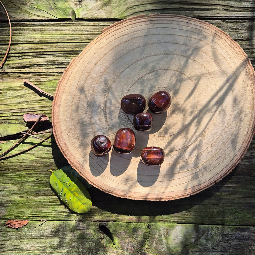 Pierre roulée en œil de taureau naturel d’Afrique du Sud, environ 2,5 cm, pierre de protection, de courage et d’ancrage