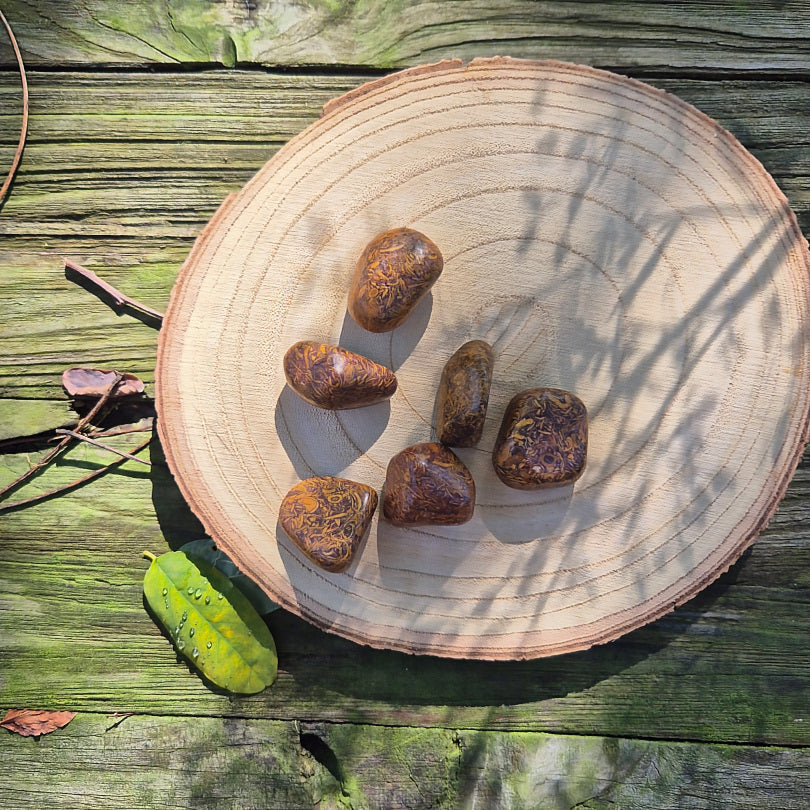 Pierre roulée en jaspe peau de serpent naturelle d’Inde, environ 3 cm, pierre de protection, de régénération et d’ancrage