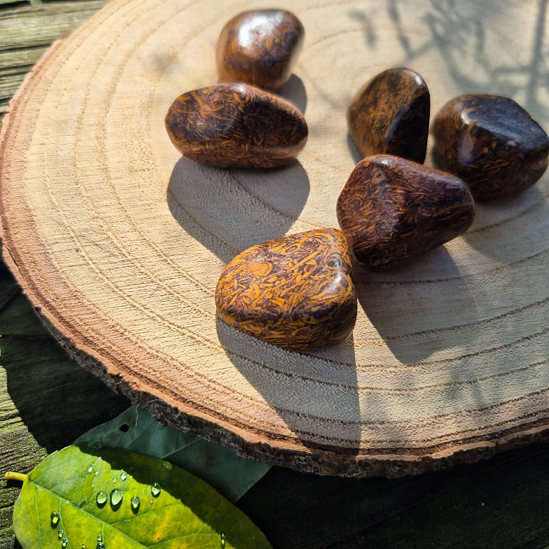 Pierre roulée en jaspe peau de serpent naturelle d’Inde, environ 3 cm, pierre de protection, de régénération et d’ancrage