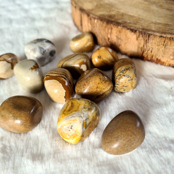 pierre roulée jaspe paysage