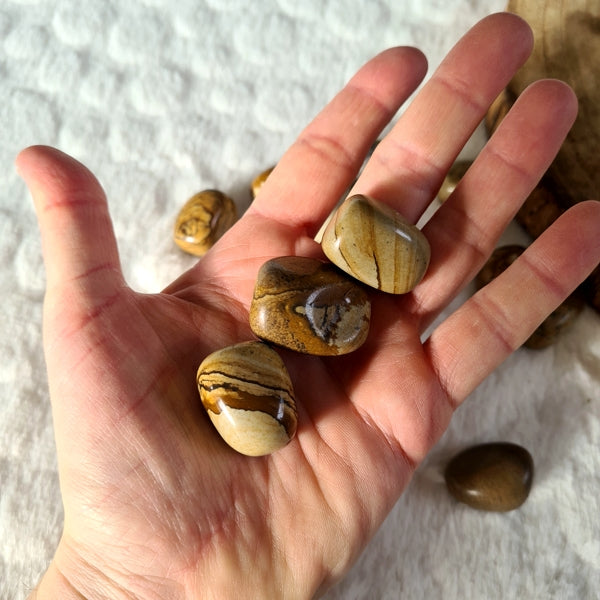 pierre roulée jaspe paysage