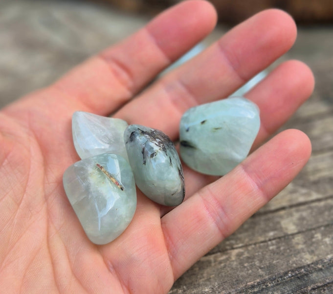 Pierre Roulée Préhnite d'Afrique du Sud Qualité A