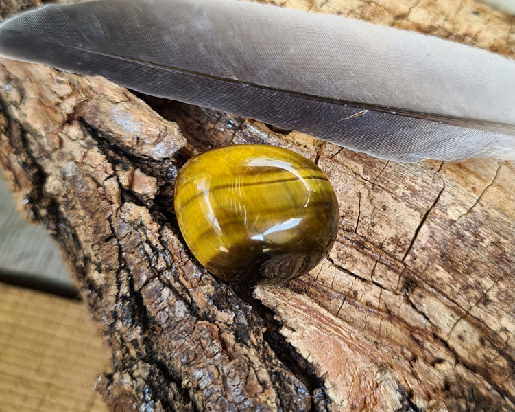 Pierre roulée oeil de tigre