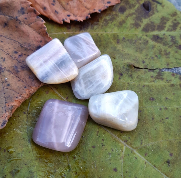 boutique de mineraux pierre de lune roulée