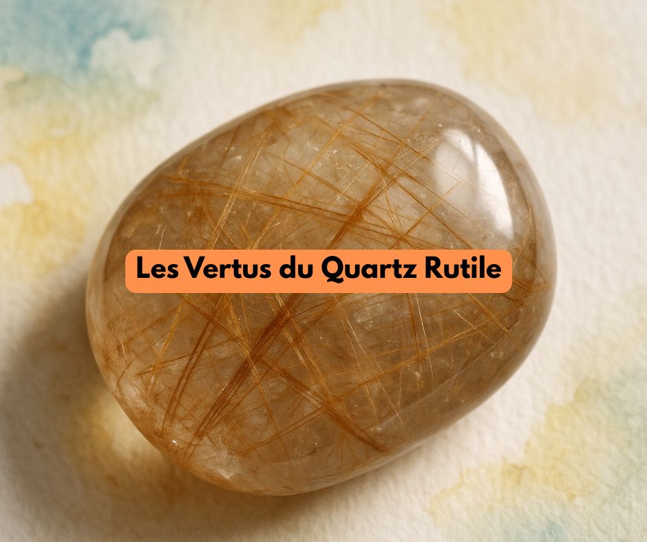 Quartz rutile naturel avec inclusions dorées de rutile, illustrant la puissance vibratoire, la clarté mentale et l’élévation spirituelle en lithothérapie.