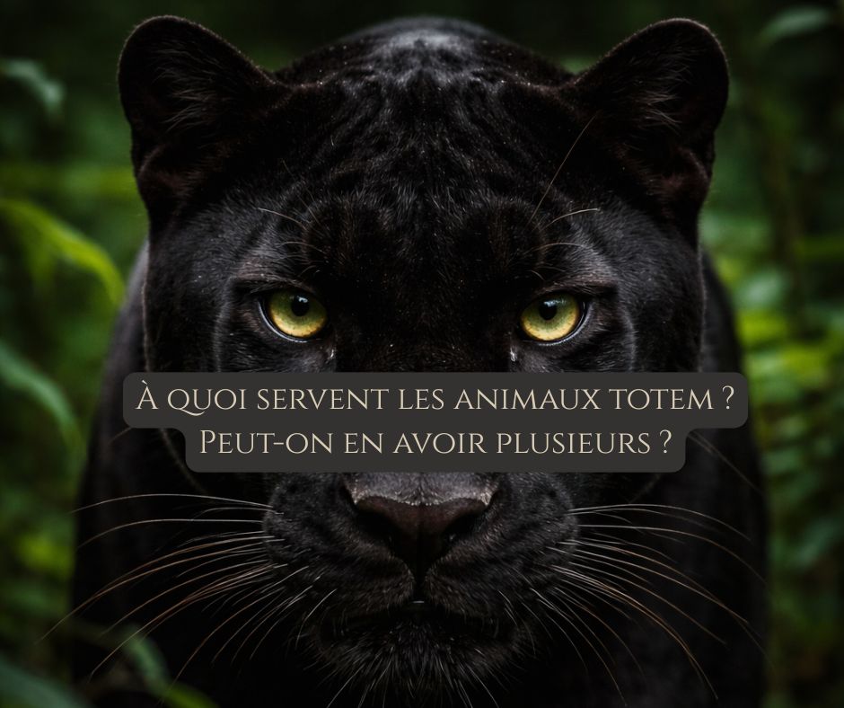 llustration d’un animal totem symbolisant un guide spirituel et une énergie d’accompagnement.