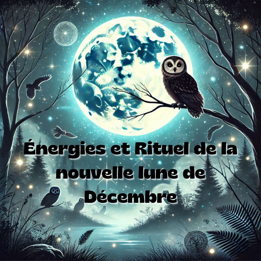 🌑 Nouvelle Lune de Décembre 2024 : Un Moment de Renouveau et d'Action ✨