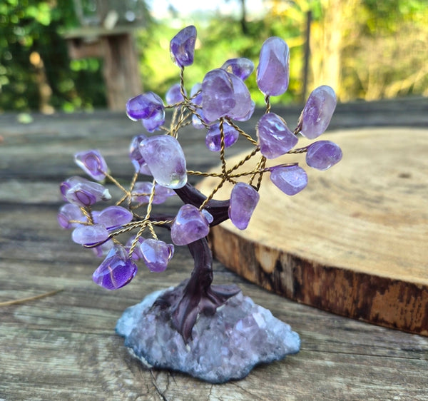 Arbre du Bonheur Bonsai en Améthyste