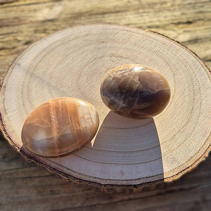 Galet en Pierre de Lune Beige - Brune