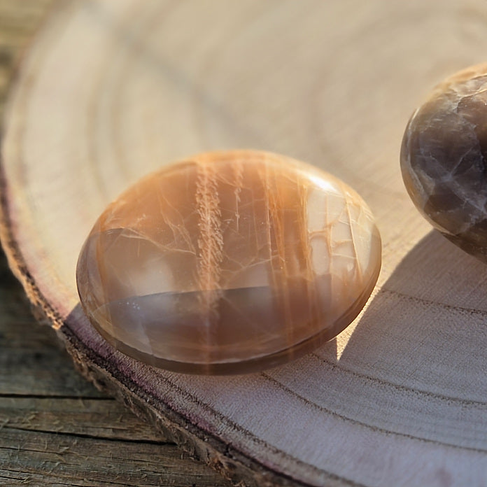 Galet en Pierre de Lune Beige - Brune