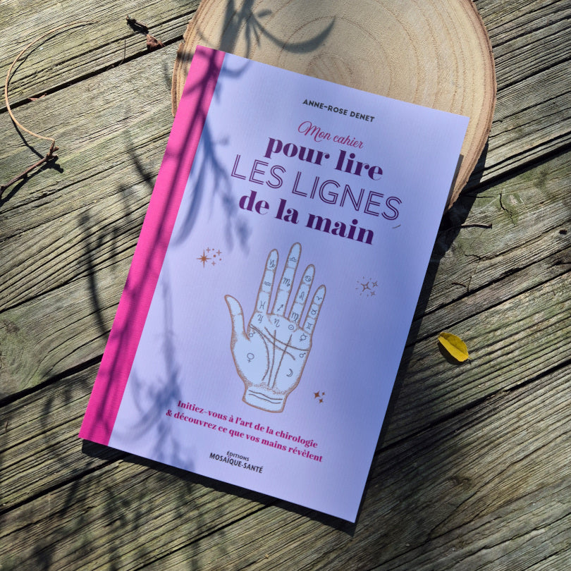 livre sur les ligne de la main