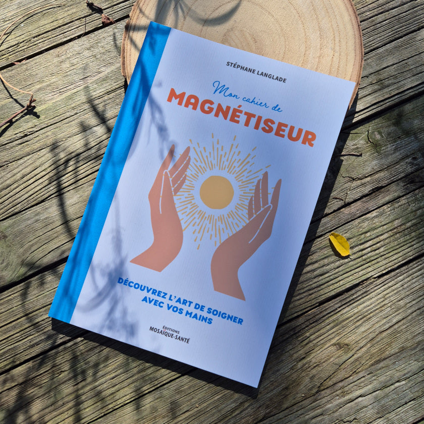 livre pour apprendre le magnetisme