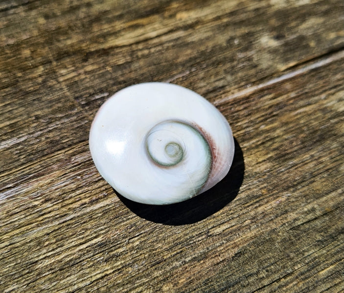 boutique de mineraux oeil de sainte lucie