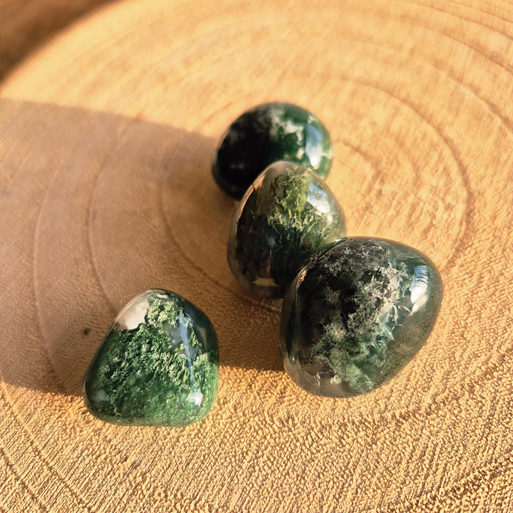 Pierre roulée agate mousse du Brésil 2 à 3 cm, pierre naturelle verte utilisée en lithothérapie pour l’ancrage et l’harmonie.