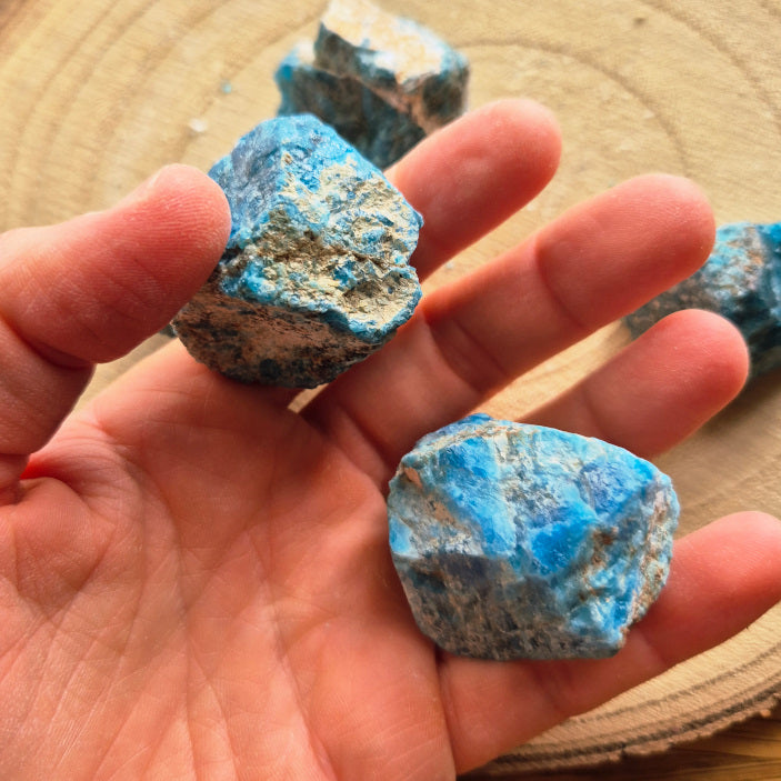 Pierre brute d’apatite bleue naturelle, environ 3 cm, aux reflets bleus profonds. Pierre de communication, de clarté mentale et de motivation personnelle.