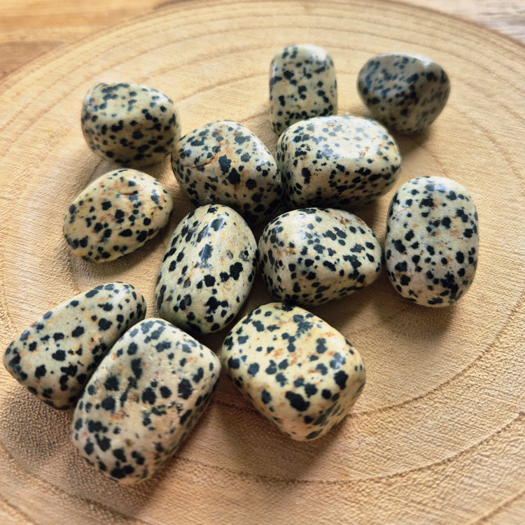 Pierre brute de jaspe dalmatien (~3 cm), teinte beige mouchetée de noir, cristaux naturels non polis, symbole de joie, équilibre et protection.