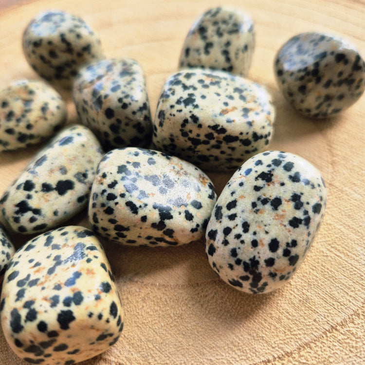 Pierre brute de jaspe dalmatien (~3 cm), teinte beige mouchetée de noir, cristaux naturels non polis, symbole de joie, équilibre et protection.