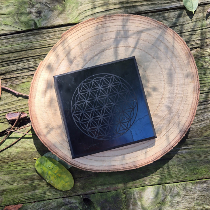 Plaque de protection en shungite de 10 cm gravée du symbole Fleur de Vie, pierre naturelle de purification et de protection énergétique.