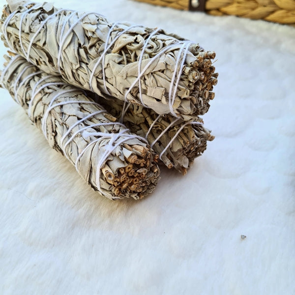 sauge blanche purification