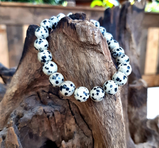 Bracelet en Jaspe Dalmatien 8mm