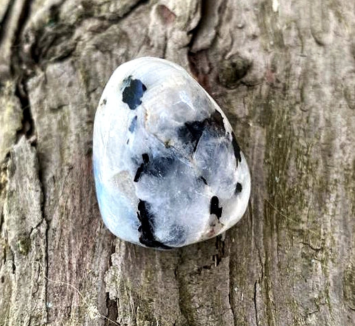 Pierre roulée pierre de lune (labradorite blanche)