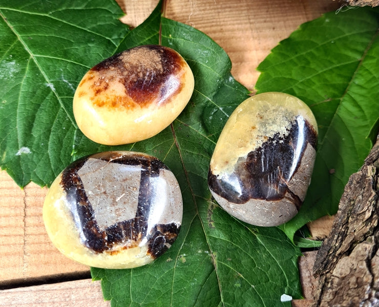petit galet de septaria
