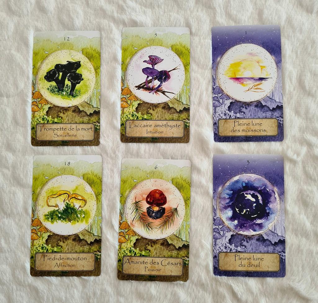 l'oracle de la magie forestire