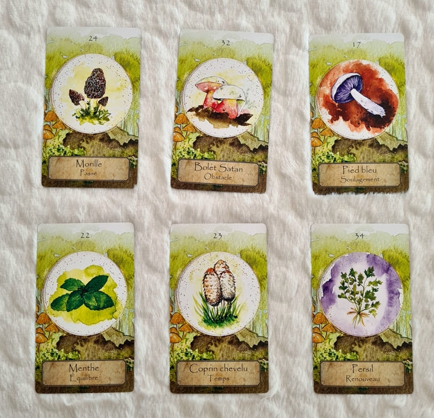 l'oracle de la magie forestire