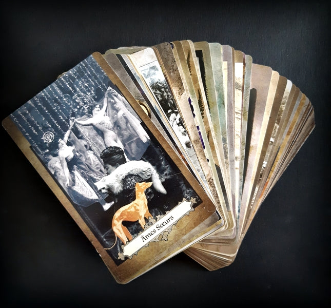 MODELE D'EXPOSITION - Oralce Divine muses