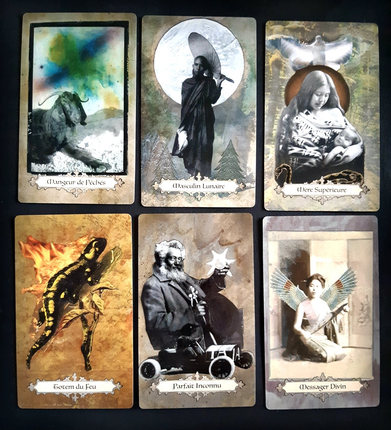 MODELE D'EXPOSITION - Oralce Divine muses