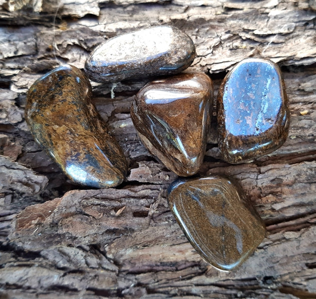 pierre bronzite