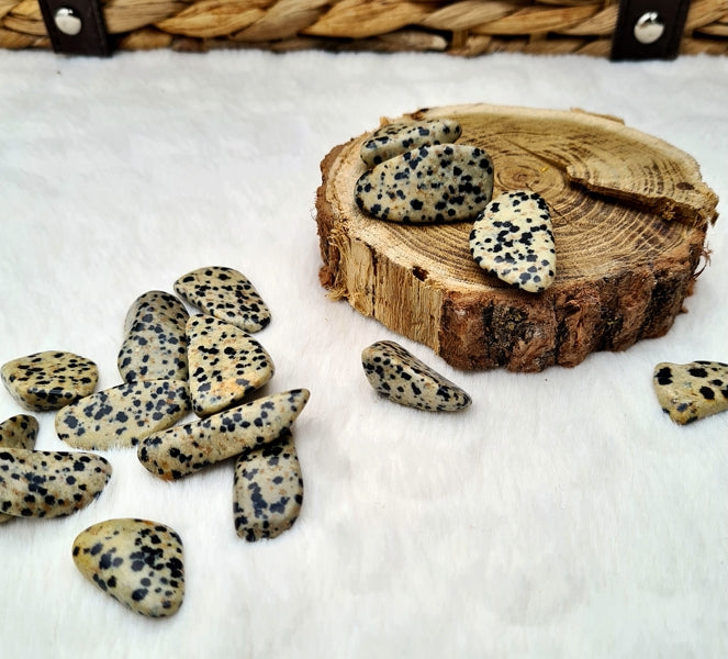 pierre roulée jaspe dalmatien du mexique