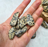 pierre roulée jaspe dalmatien du mexique
