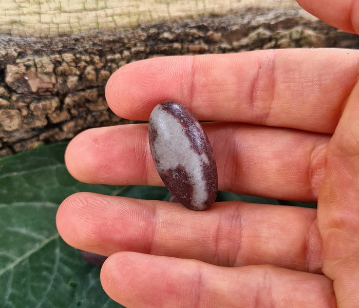 pierre shiva lingam