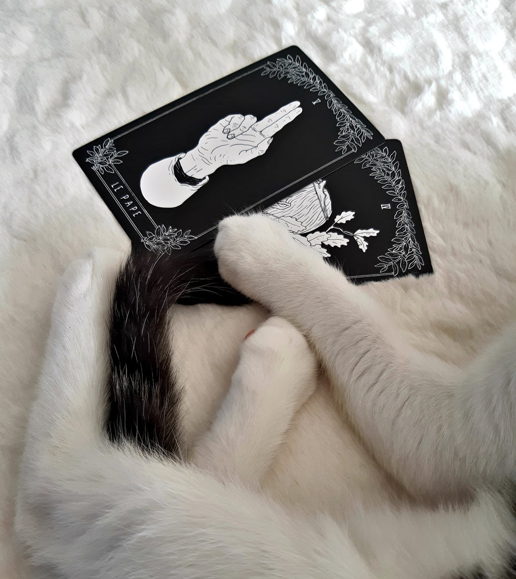 MODELE D'EXPOSITION Tarot Artemisia